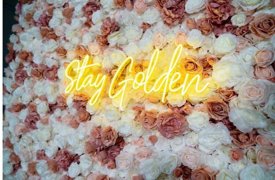 Floral backdrop of pink, white, and peach roses with a glowing "Stay Golden" LED sign in the center.